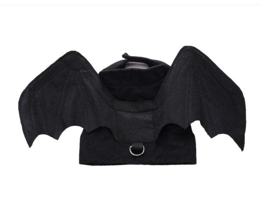 Unique Dog Spider Costume