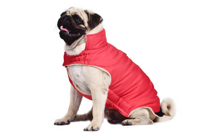 Cotton coat vest dog clothes