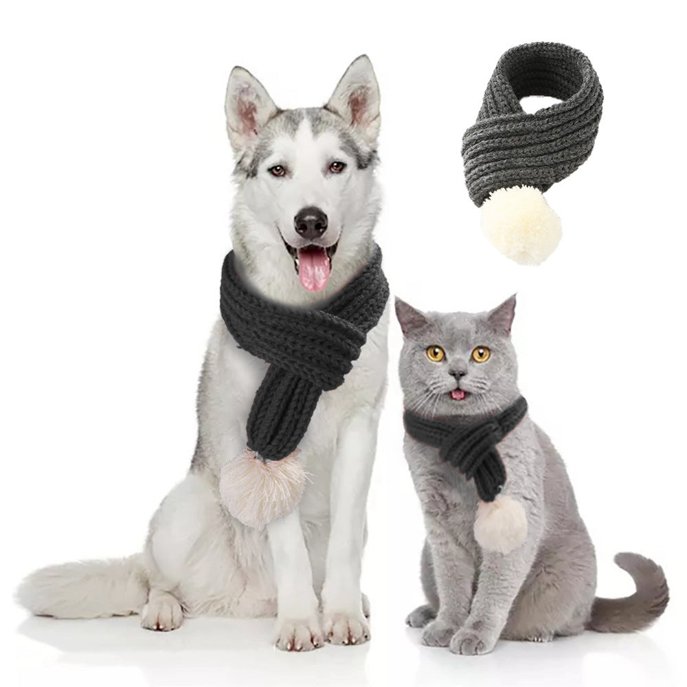 Pet gift and warm wool scarf