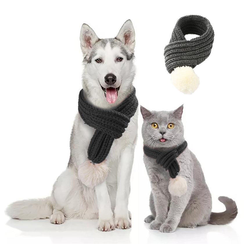 Pet gift and warm wool scarf