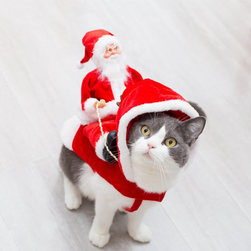 Alpscommerce Fashion pet Clothes Green Elf Pet Dog   Costume