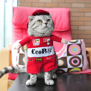Spring and autumn pet cat costume