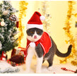 Pet Christmas Suit Cat Dog Cloak Hat