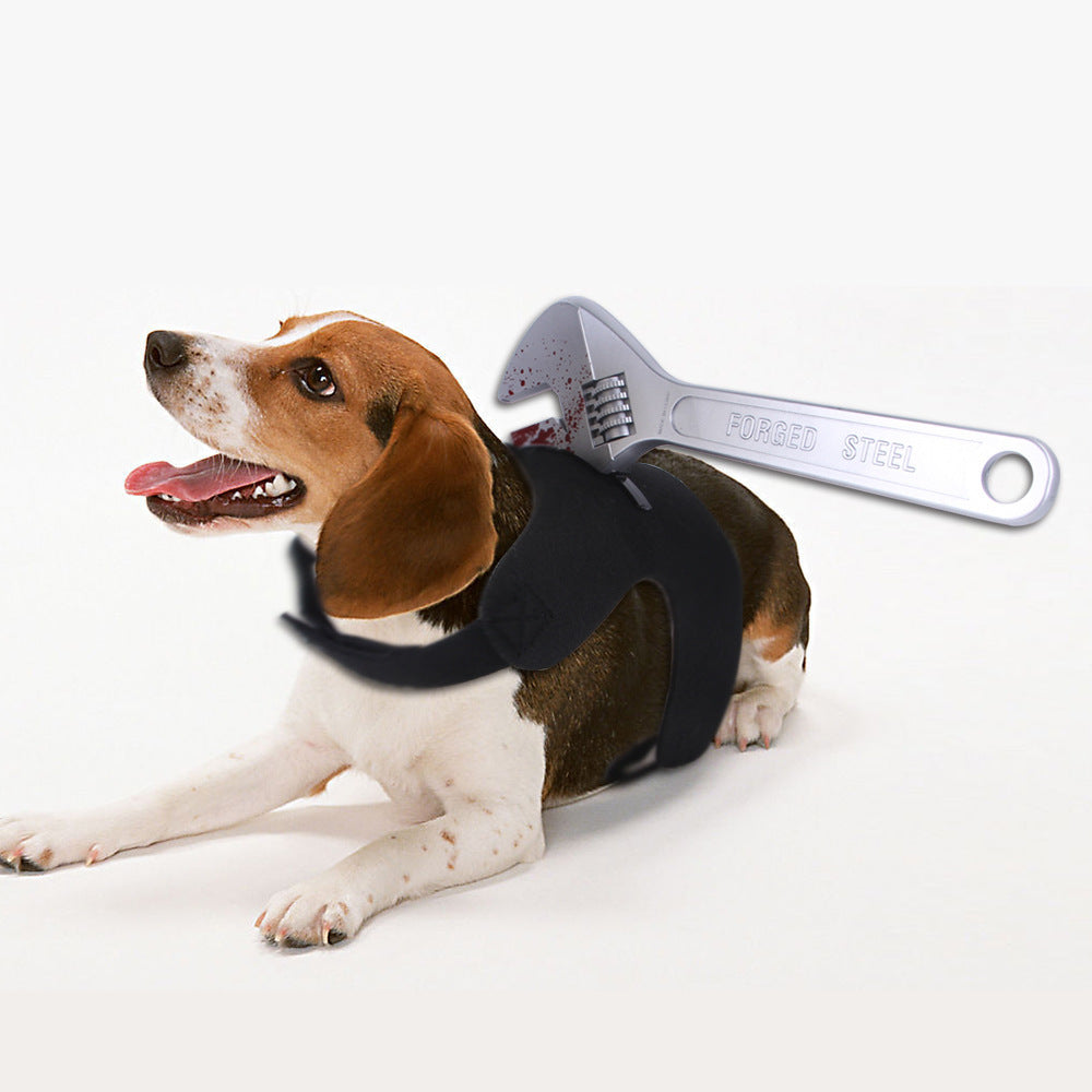 Creative Tricks For Cats And Dogs