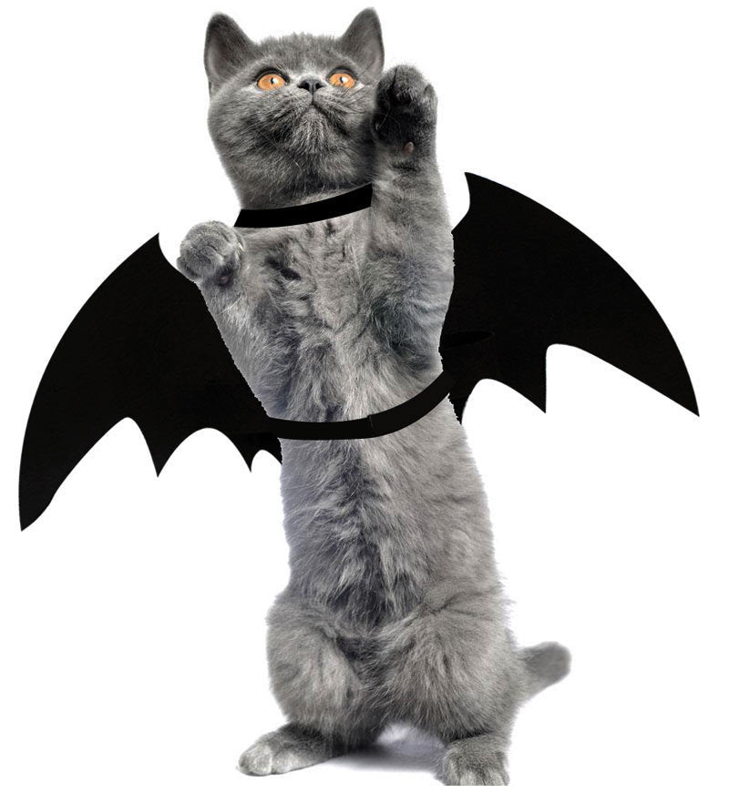Pet Bat Wing Pet Cosplay Prop   Clothes Cat Dog Costume Pets Products