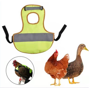 Chicken reflective vest