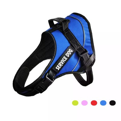 Personalized Harness