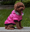 Zippered Cotton Padded Clothes For Pets