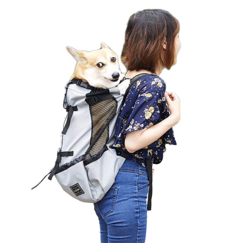 Dog pet backpack go out and carry