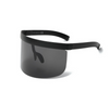 Fashion Personality UV Protection Face Shield