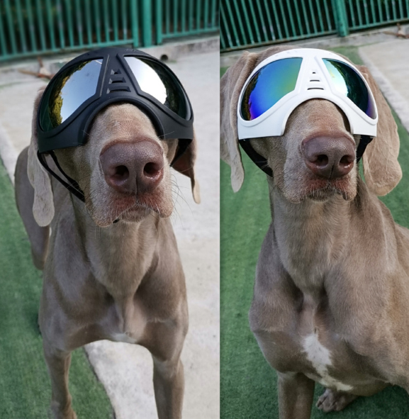 Dog Glasses Waterproof Snow-Proof  Sunglasses