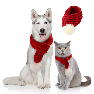 Pet gift and warm wool scarf
