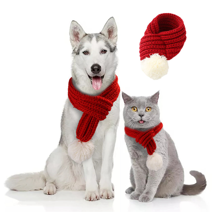 Pet gift and warm wool scarf