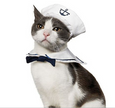 Funny Pet Cat Costumes Cat Dog Rabbit Clothes Clothing For Halloween Cosplay Navy Sailor Costumes Jacket Coat Dog Accessories