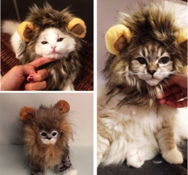 Funny Pet Hat For Small Dogs Cats Hat Emulation Lion Hair Costume