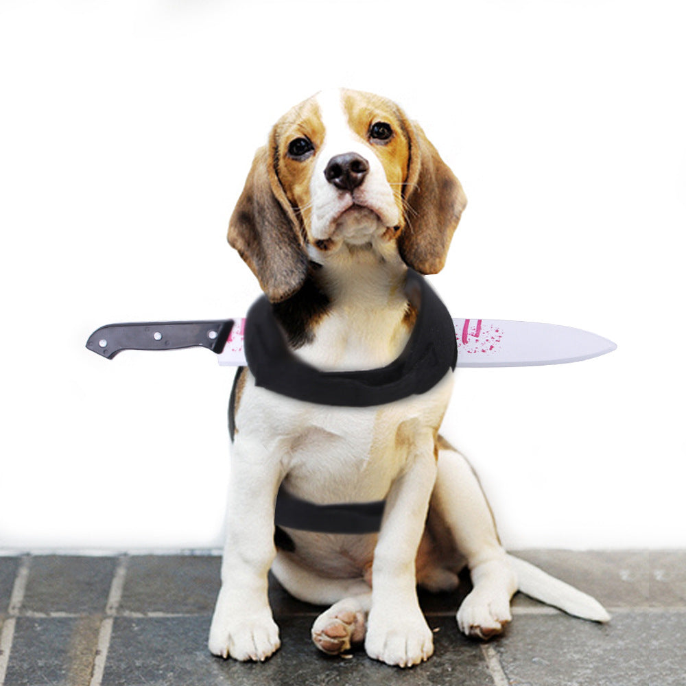 Creative Tricks For Cats And Dogs