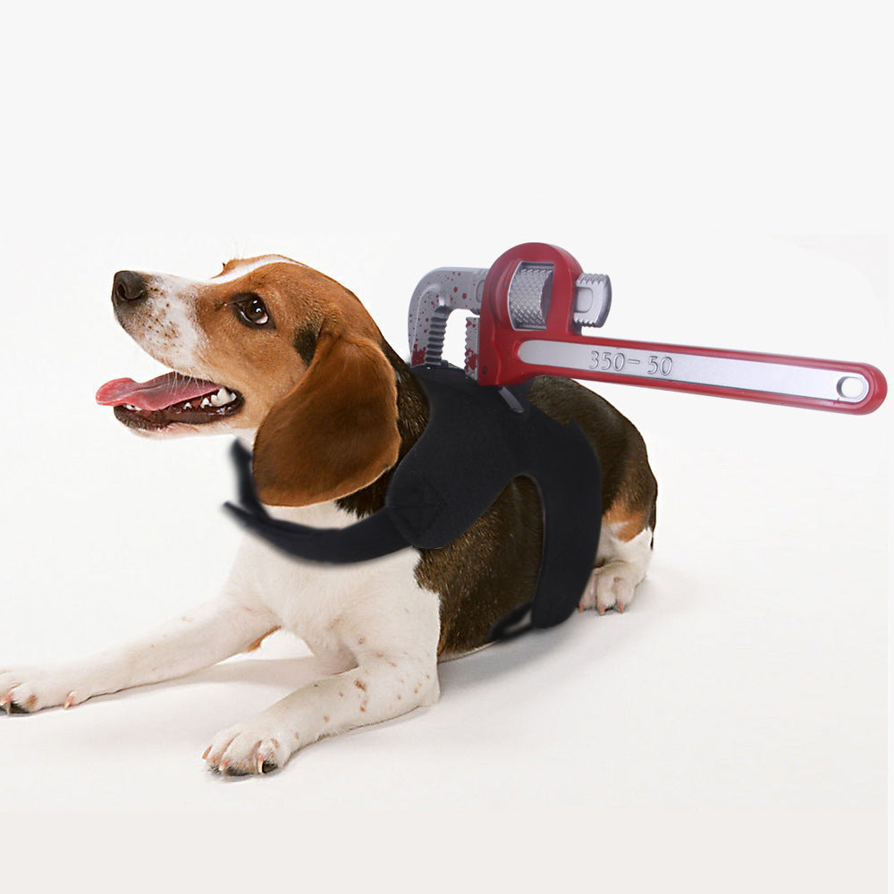 Creative Tricks For Cats And Dogs