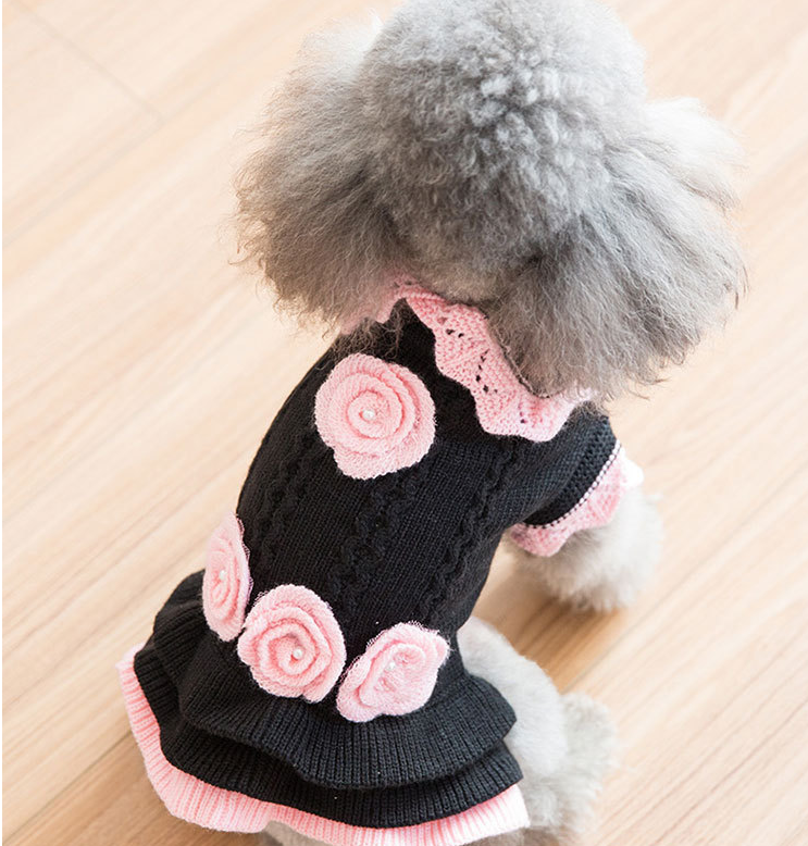Dog clothes