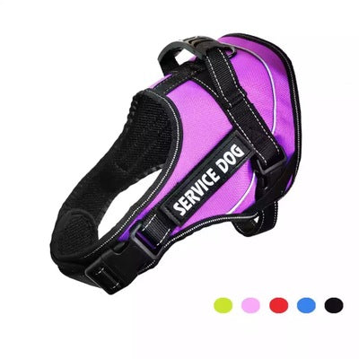 Personalized Harness