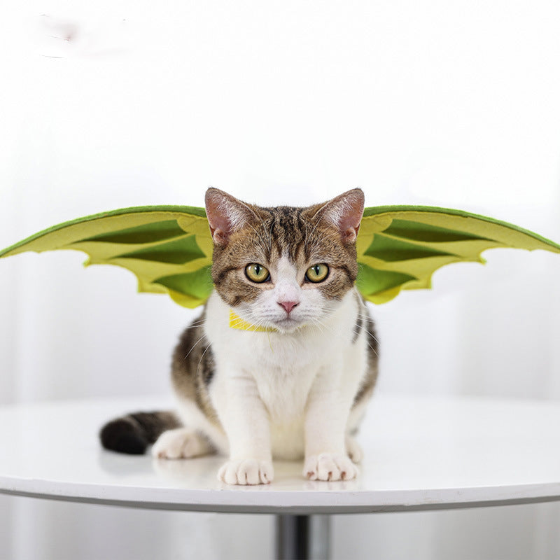 Alpscommerce cat  Pet Dinosaur Wings Makeover