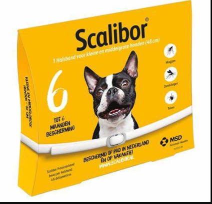 Dog Cat Flea Deworming Collar Flea and Tick Free