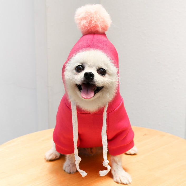 Fruit Dog Clothes Two-legged Hooded Outfits Green Fleece Clothing Autumn Winter Hoodies