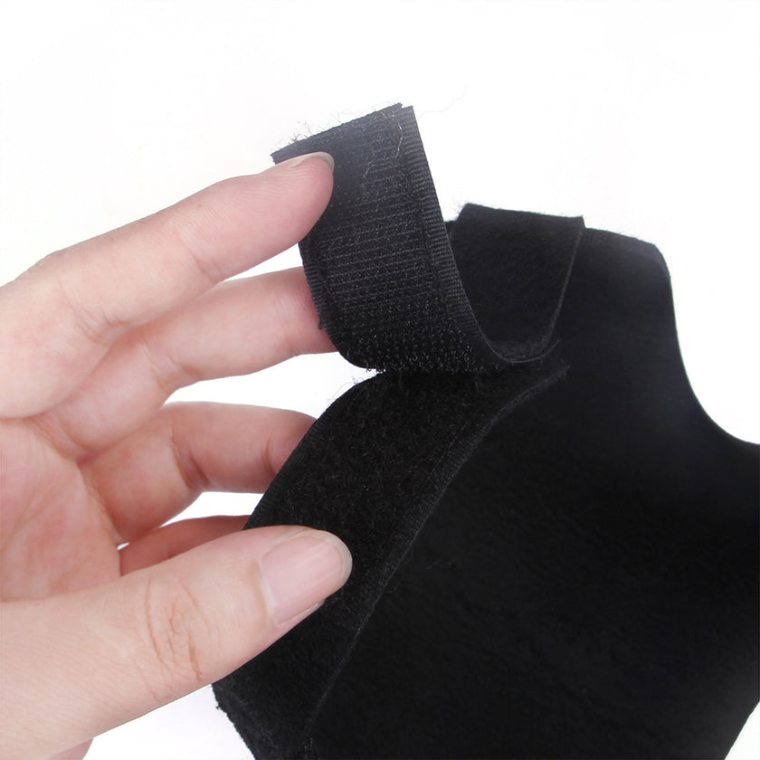 Creative Tricks For Cats And Dogs