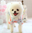 Dog than the bear pomei thin summer cute shirt