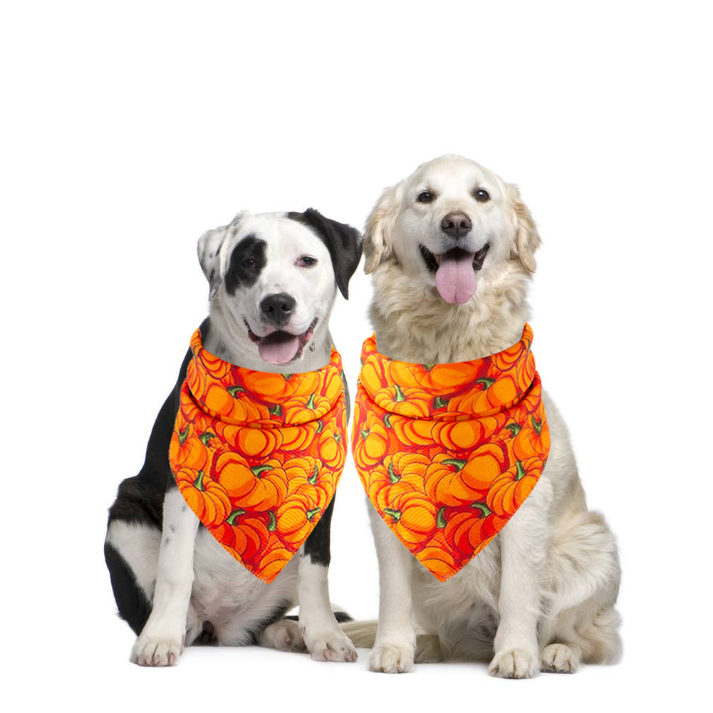 Alpscommerce pet saliva towel