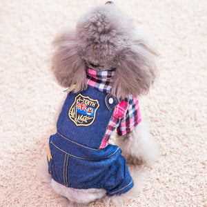 Cute pet clothes