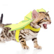 Alpscommerce cat  Pet Dinosaur Wings Makeover