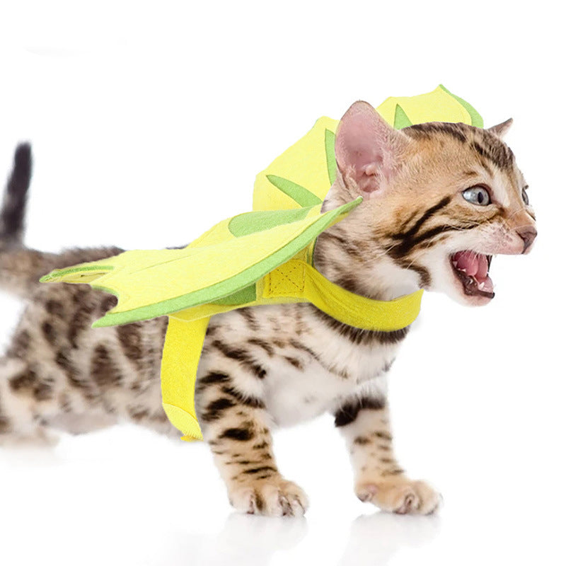 Alpscommerce cat  Pet Dinosaur Wings Makeover