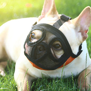 Pet   Dog Mouse Basket Breathable Mask