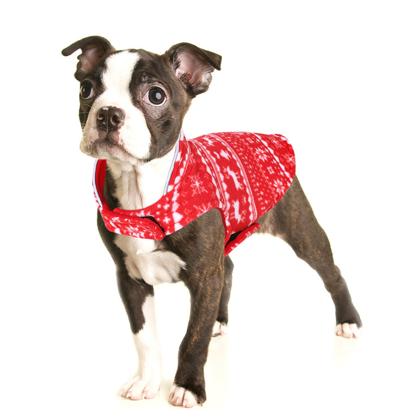 Alpscommerce Cat Dog Sweater Pullover  Puppy Jacket
