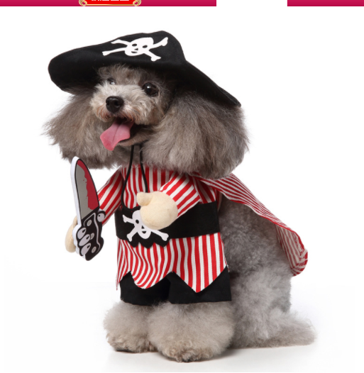 Cosplay Pet Supplies Standing Outfit Funny Dog Clothes