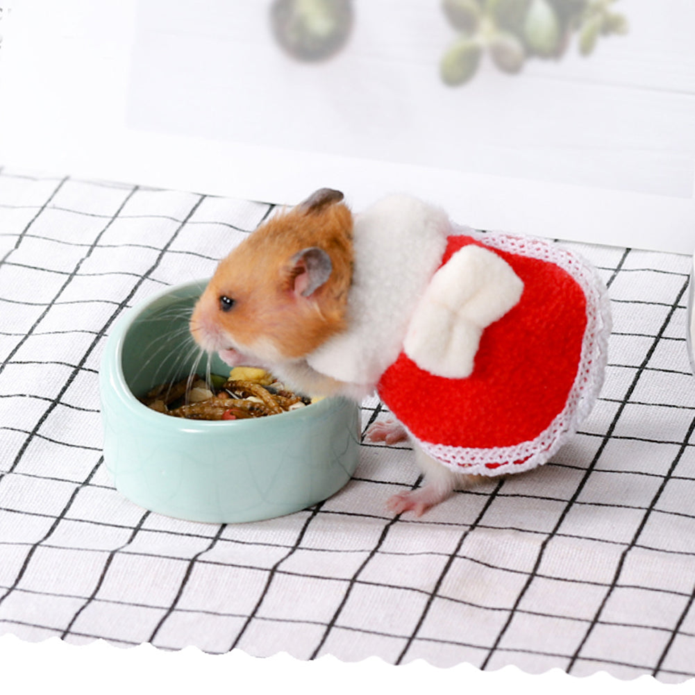 Mini Small Squirrel Totoro Clothes Chipmunk