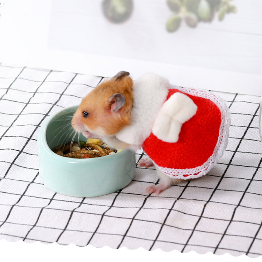 Mini Small Squirrel Totoro Clothes Chipmunk