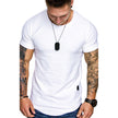 Alpscommerce short-sleeved round neck bottoming T-shirt men's shirt