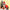 Pet Christmas Suit Cat Dog Cloak Hat