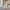 Women's Mid-length Korean Style Loose Spring And Autumn British Windbreaker coat