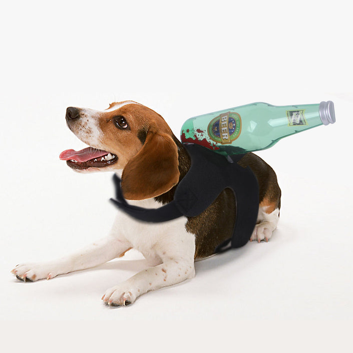 Creative Tricks For Cats And Dogs