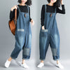 Casual Literary Women's Plus Size Denim Overalls