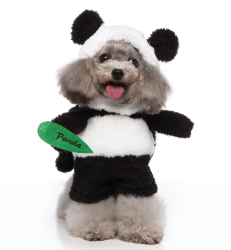 Cosplay Pet Supplies Standing Outfit Funny Dog Clothes