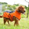 Autumn And Winter Warm Reflective Dog Clothes gift