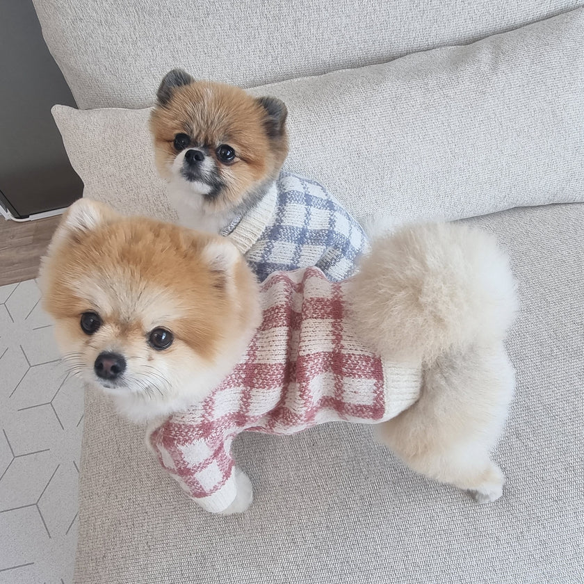 Blue Grid Cardigan Sweater Pet