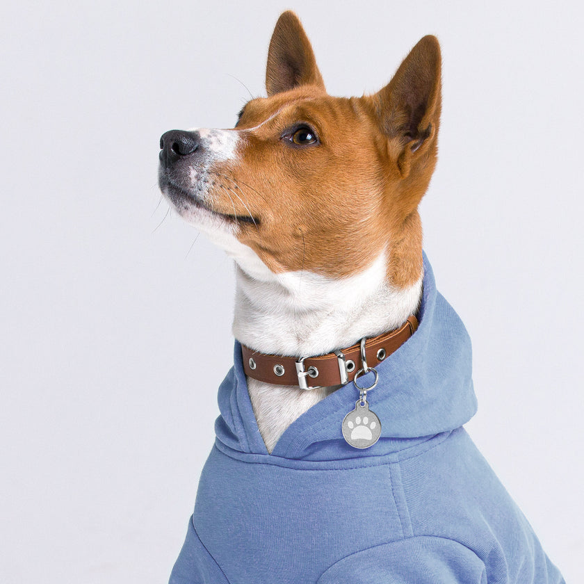 Engraved pet ID tag for Dog Cat tag  and pets