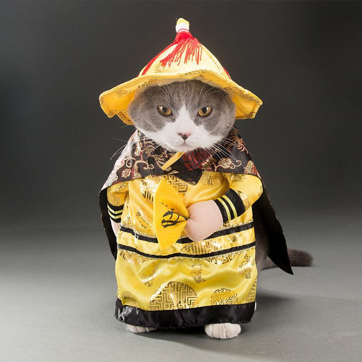 Spring and autumn pet cat costume