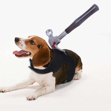 Creative Tricks For Cats And Dogs