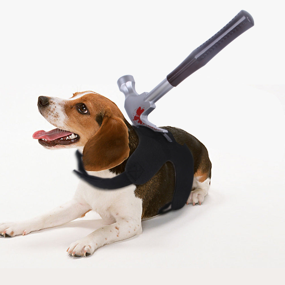 Creative Tricks For Cats And Dogs