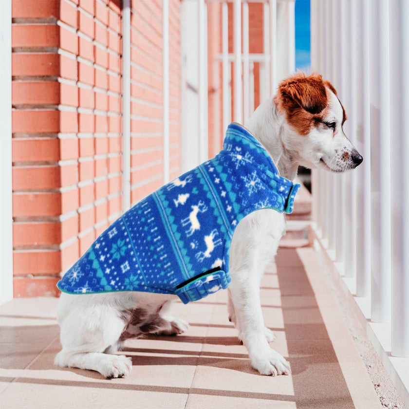 Alpscommerce Cat Dog Sweater Pullover  Puppy Jacket